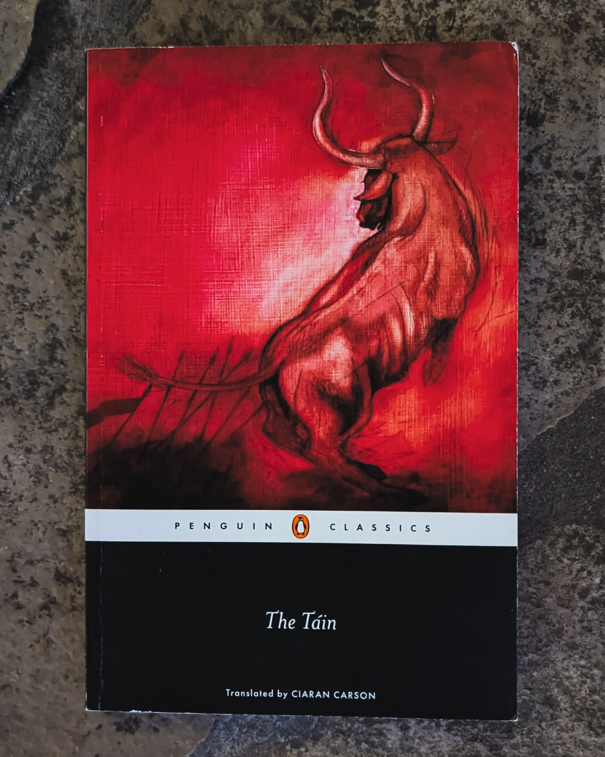 photo by beingcompiled