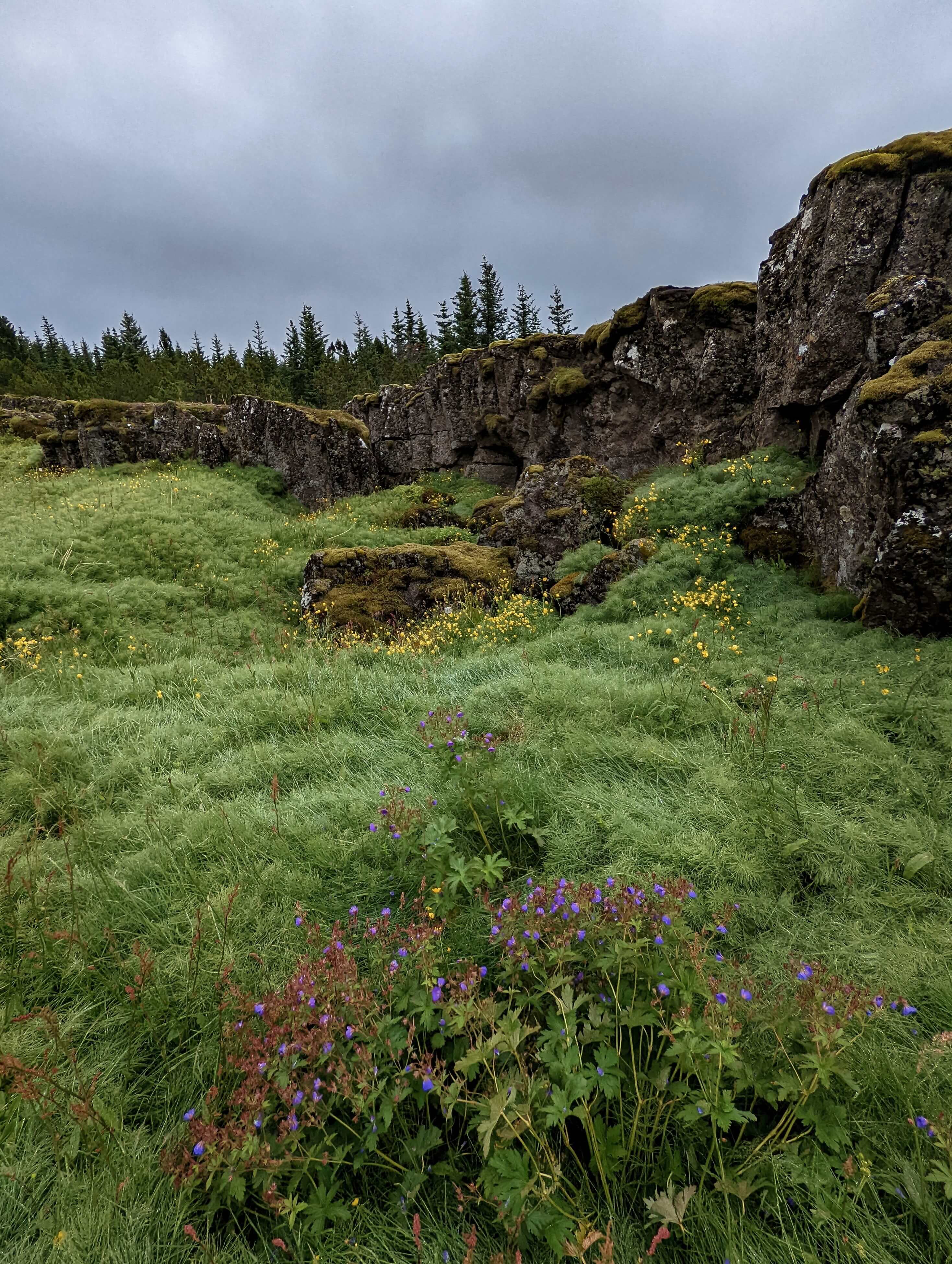 Photo of Thingvellir in Iceland