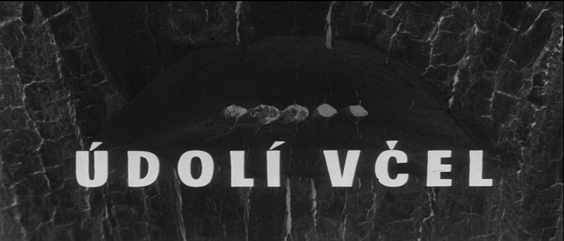 The Valley of the Bees — Opening Title